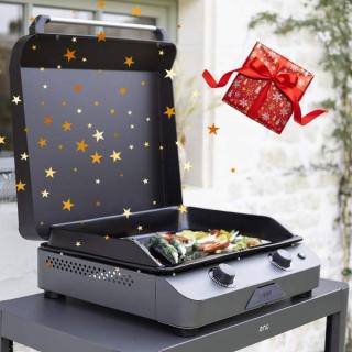 Plancha Fusion 60 Gris cargo Plancha Fusion 60 Gris cargo