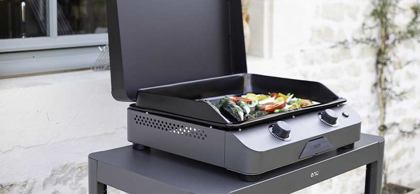 plancha-gaz-fusion-60-cargo-noel